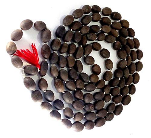 Kamal Gatta Mala Lotus Seeds Natural for Worshipping Small Kamal Gatta Mala108 Beads Original Lotus Seed Rosary