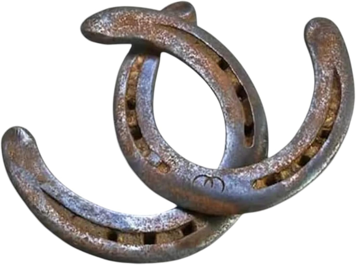 Evil Eye (Buri Nazar) & Protection Ghode Ki Naal