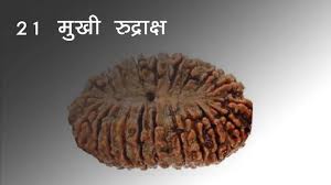 Original 21 Mukhi Nepali Rudraksha Bead | Original Kuber Rudraksha for Wealth & Divine Protection
