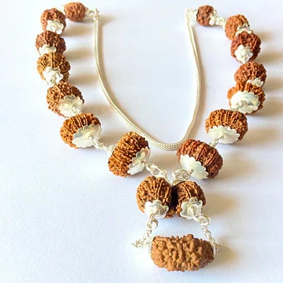 1 - 13 Mukhi Sidh Indra Rudraksha Mala