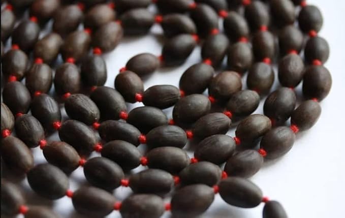 Kamal Gatta Mala Lotus Seeds Natural for Worshipping Small Kamal Gatta Mala108 Beads Original Lotus Seed Rosary