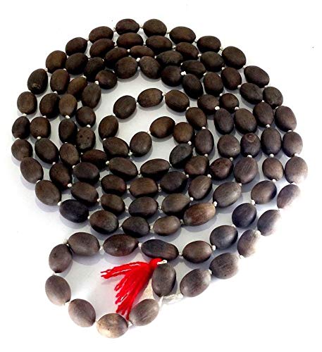 Kamal Gatta Mala Lotus Seeds Natural for Worshipping Small Kamal Gatta Mala108 Beads Original Lotus Seed Rosary