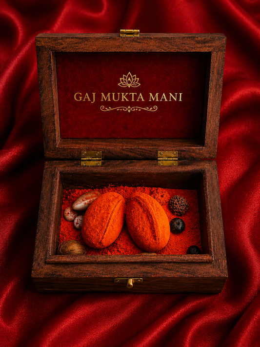 Gaj Mukta – Rare Sacred Gem Revered in Tantra Shastra
