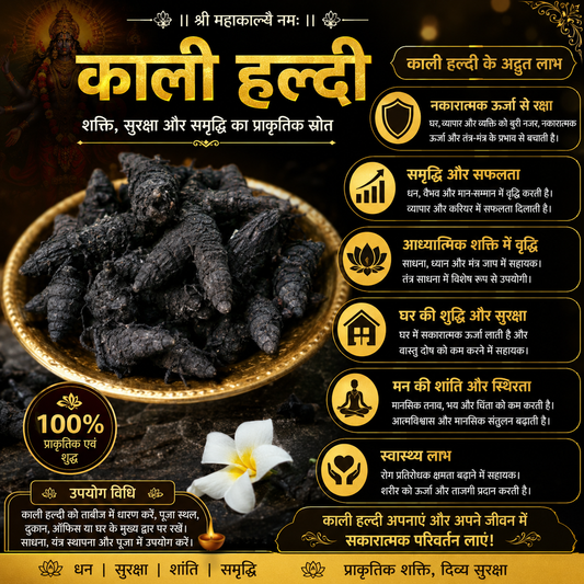 Premium Kaali Haldi (Black Turmeric) – A Sacred Symbol of Protection, Prosperity &amp; Positive Energy