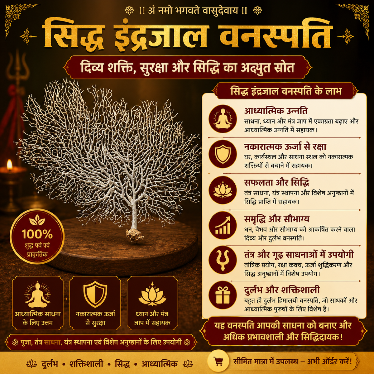 🌿 Siddh Indrajal Vanaspati Tantrik Sadhana, Raksha aur Positive Energy Ka Pavitra Pratik
