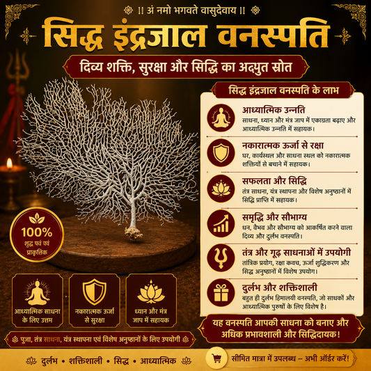 🌿 Siddh Indrajal Vanaspati Tantrik Sadhana, Raksha aur Positive Energy Ka Pavitra Pratik