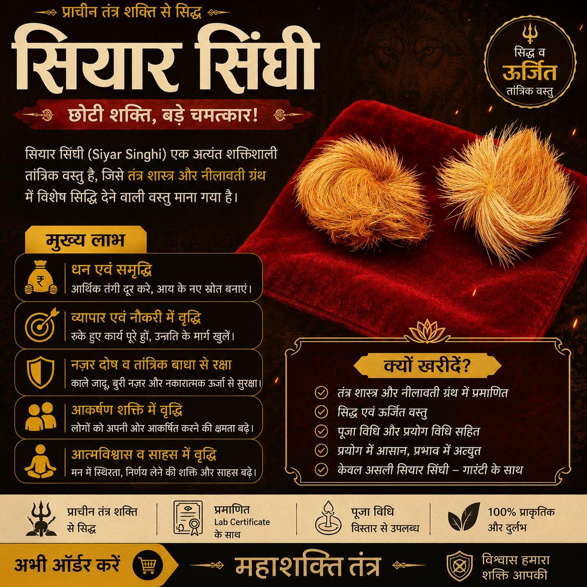Siyar Singhi Energised Male & Female Pair