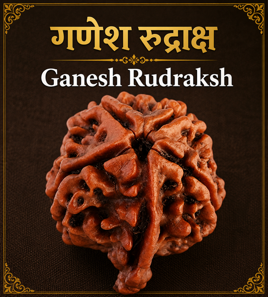 Ganesh Rudraksha