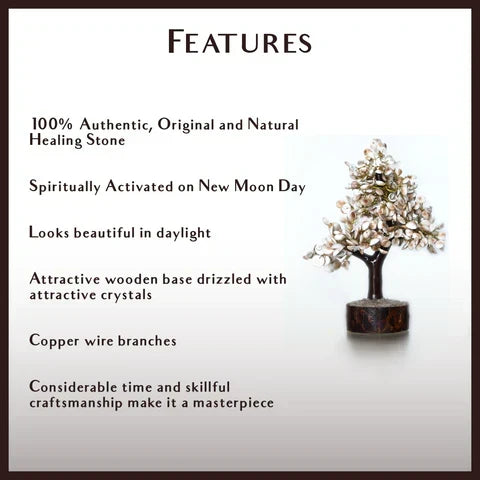 Gomati Chakra Tree