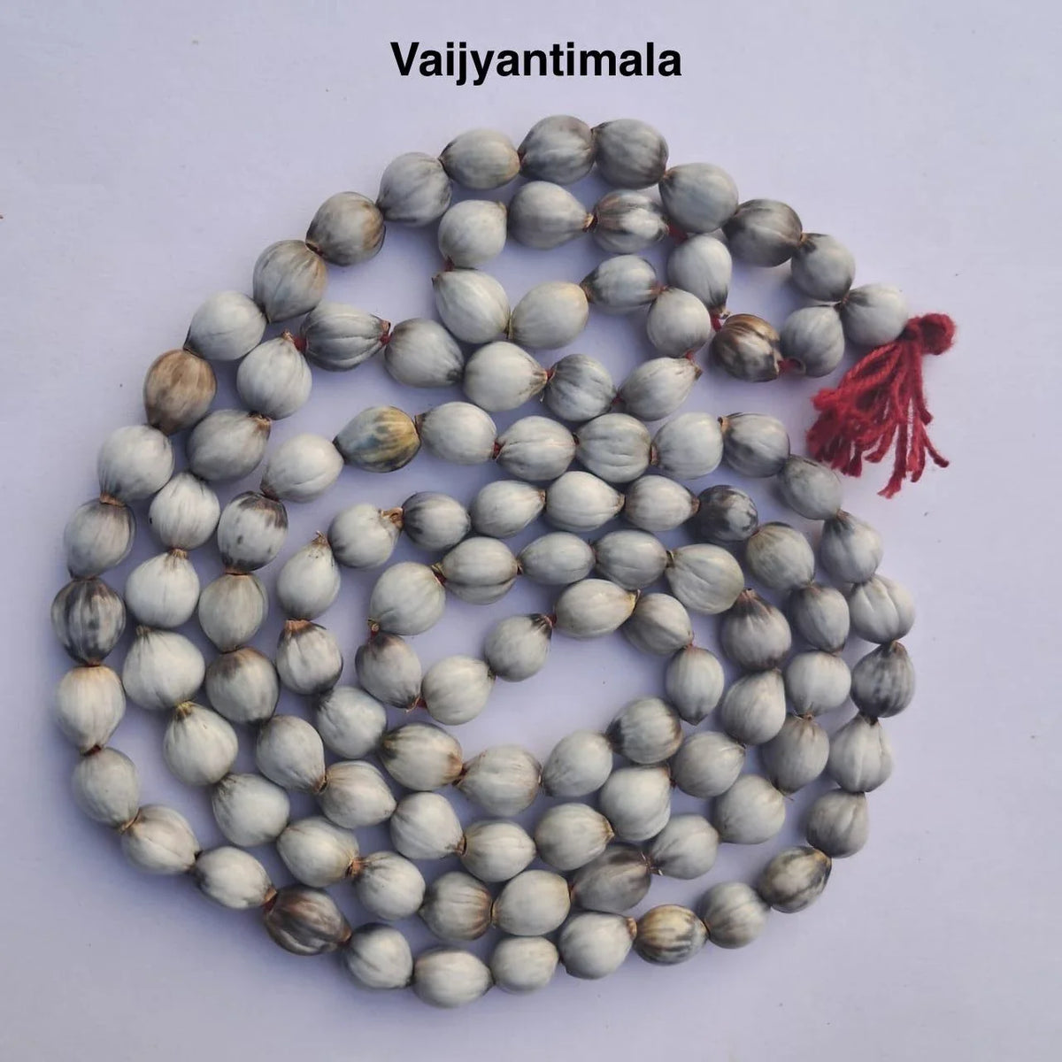 Siddh Vaijayanti Mala – Bhagwan Shri Krishna Ki Priya Mala | Divine Blessings, Peace & Spiritual Growth