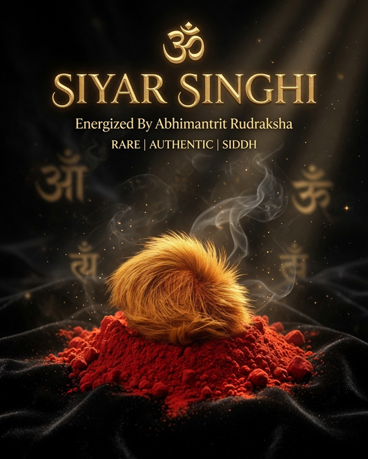 Siyar Singhi Energised Male & Female Pair