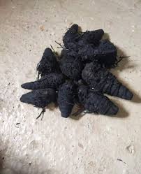 Premium Kaali Haldi (Black Turmeric) – A Sacred Symbol of Protection, Prosperity &amp; Positive Energy