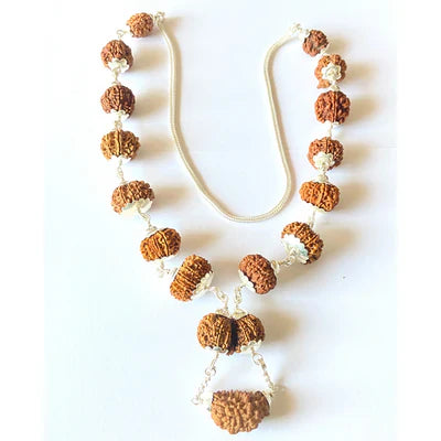 1 - 13 Mukhi Shiv Shakti Rudraksha Mala (Nepal Origin)